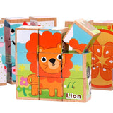 6 Side Wooden Cubic Puzzle - Helaya
