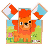 6 Side Wooden Cubic Puzzle - Helaya
