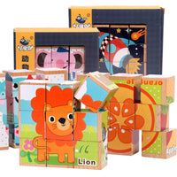 6 Side Wooden Cubic Puzzle - Helaya