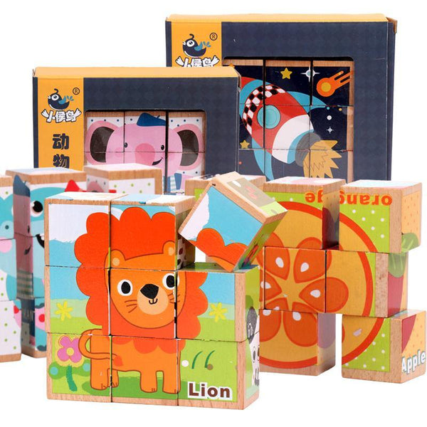 6 Side Wooden Cubic Puzzle - Helaya