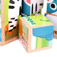 6 Side Wooden Cubic Puzzle - Helaya