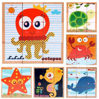 6 Side Wooden Cubic Puzzle - Helaya
