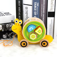 Pull Along Animals with Shape Sorting - Helaya