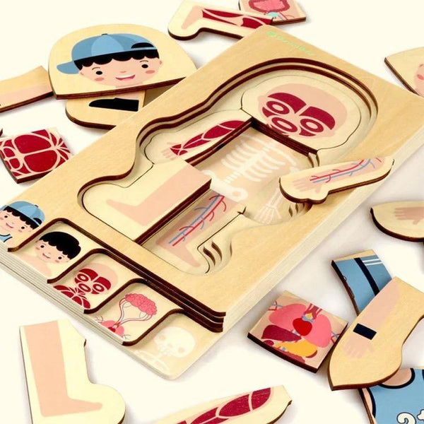 Human Body Anatomy Puzzle - Helaya
