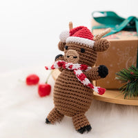 Christmas Infant Gift Box